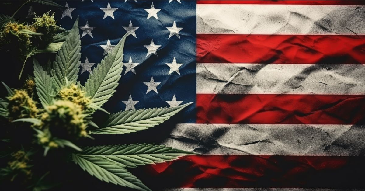 New States Voting on Cannabis Legalization Medical and Recreational Expansion in 2025