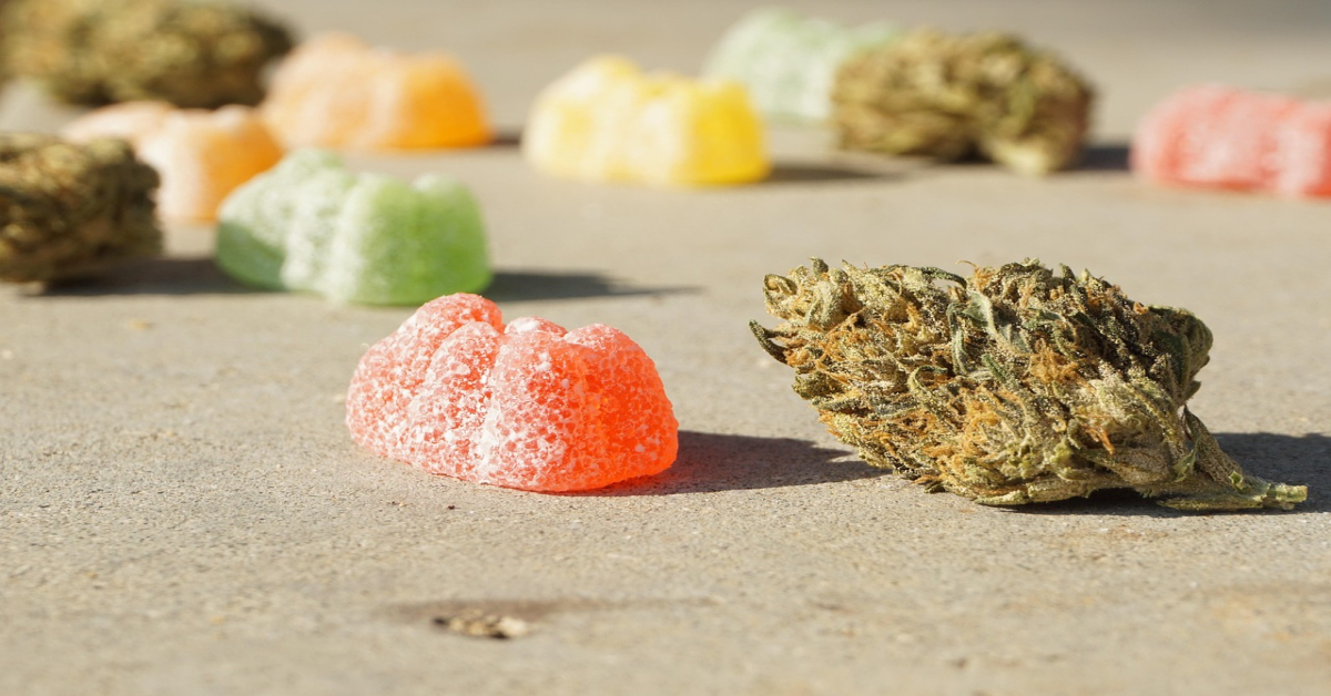 cannabis-6558927_1280 (1)