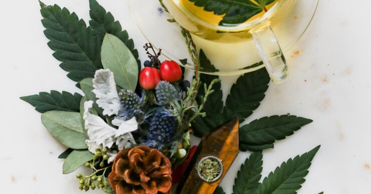 overhead-shot-jasmine-green-tea-with-marijuana-herbs_181624-2988 (1) overhead-shot-jasmine-green-tea-with-marijuana-herbs_181624-2988 (1)