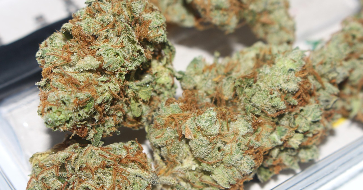 weed-2518227_1280 (1)
